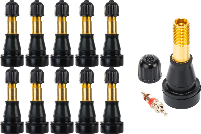 TR 600 HP car valves, set of 10